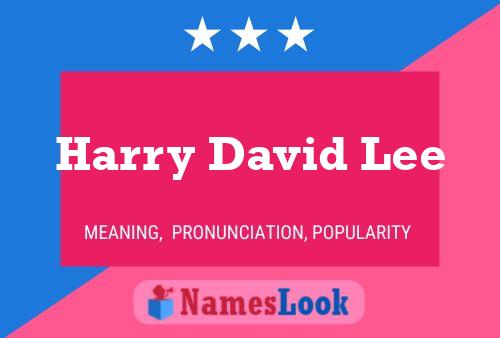 Harry David Lee Name Poster