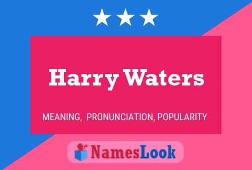 Harry Waters Name Poster