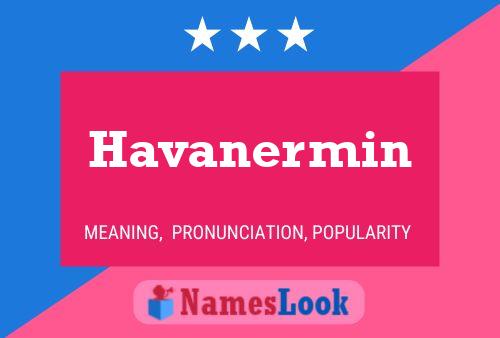 Havanermin Name Poster