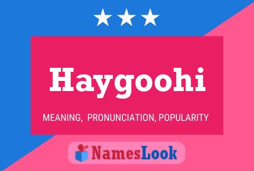 Haygoohi Name Poster