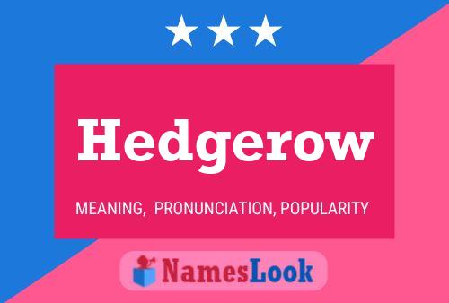 Hedgerow Name Poster