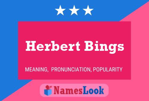 Herbert Bings Name Poster