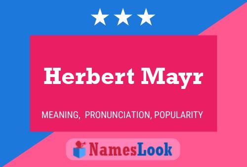 Herbert Mayr Name Poster