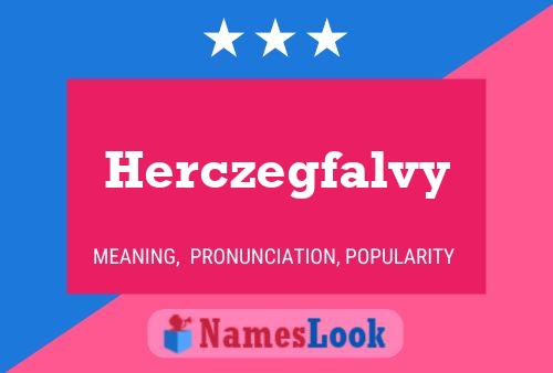 Herczegfalvy Name Poster