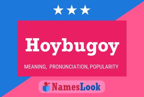 Hoybugoy Name Poster