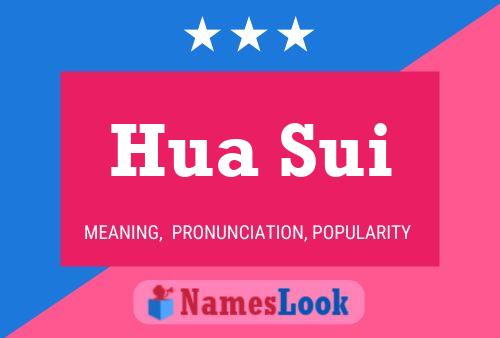 Hua Sui Name Poster