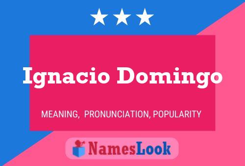 Ignacio Domingo Name Poster