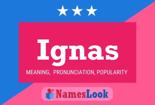 Ignas Name Poster