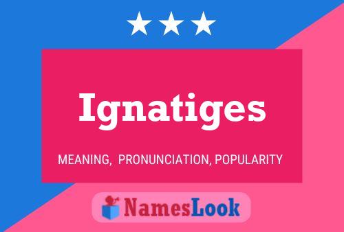 Ignatiges Name Poster