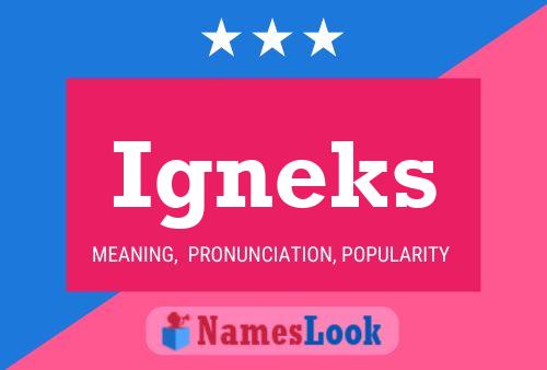 Igneks Name Poster