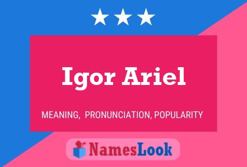 Igor Ariel Name Poster