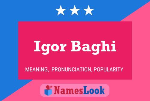 Igor Baghi Name Poster