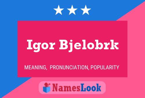 Igor Bjelobrk Name Poster