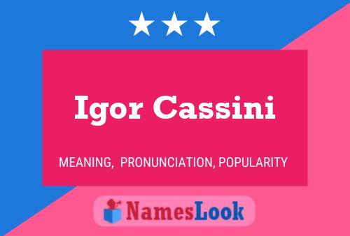 Igor Cassini Name Poster