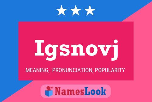 Igsnovj Name Poster