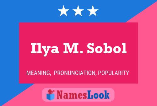 Ilya M. Sobol Name Poster