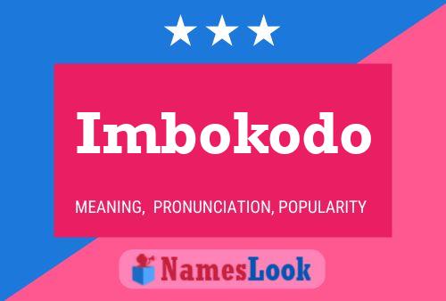 Imbokodo Name Poster