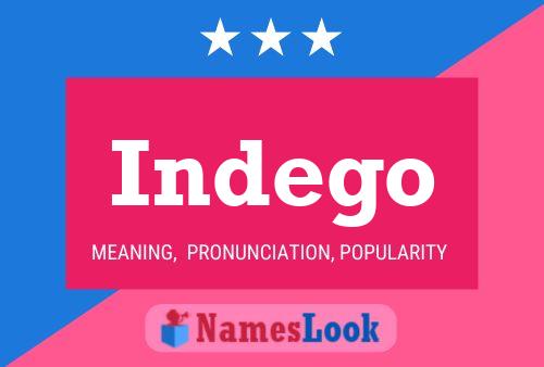 Indego Name Poster