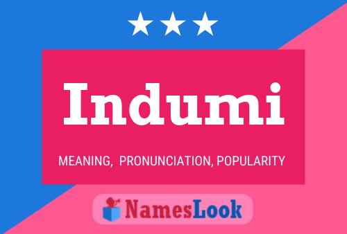 Indumi Name Poster