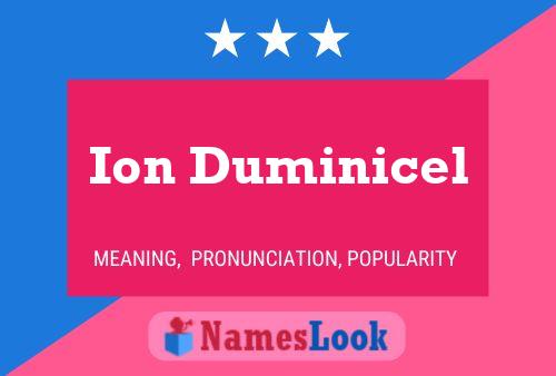 Ion Duminicel Name Poster