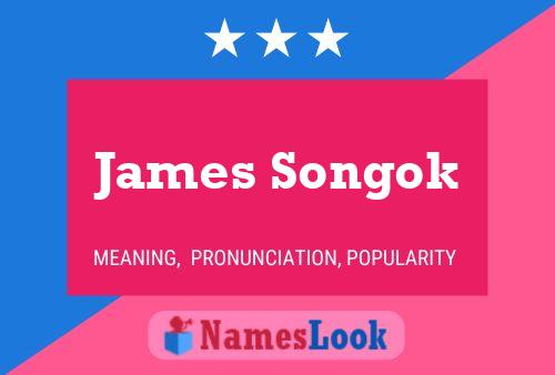 James Songok Name Poster