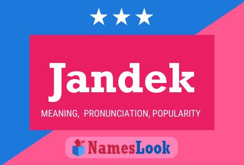 Jandek Name Poster