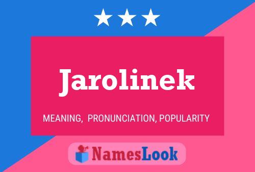 Jarolinek Name Poster