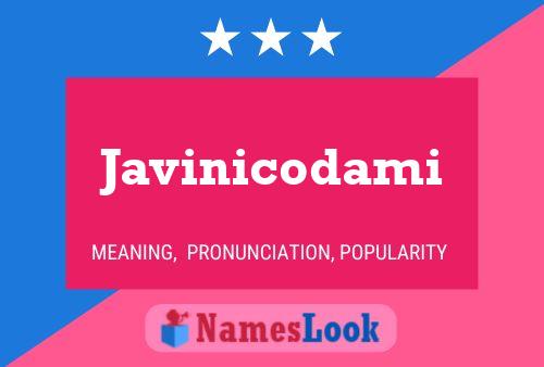 Javinicodami Name Poster