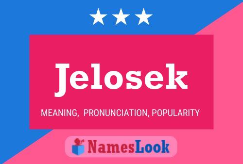 Jelosek Name Poster