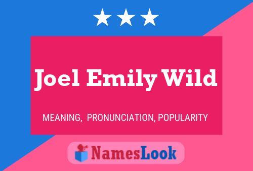 Joel Emily Wild Name Poster