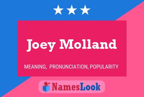 Joey Molland Name Poster