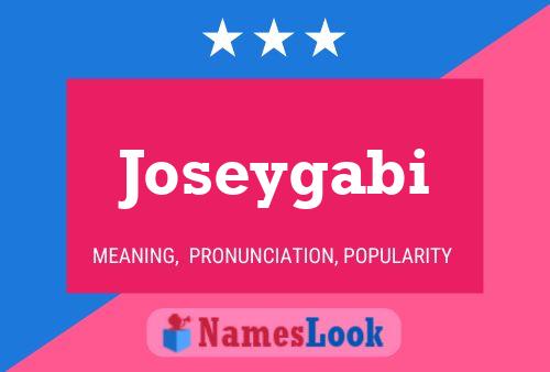 Joseygabi Name Poster