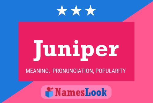 Juniper Name Poster
