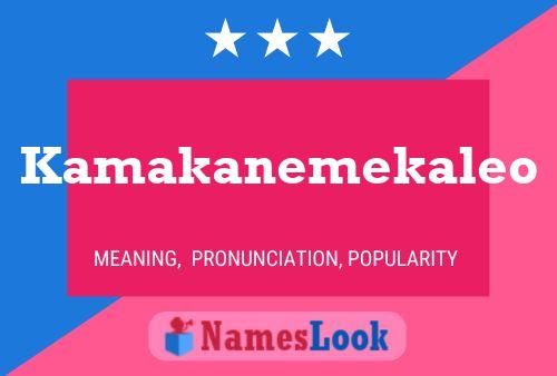 Kamakanemekaleo Name Poster