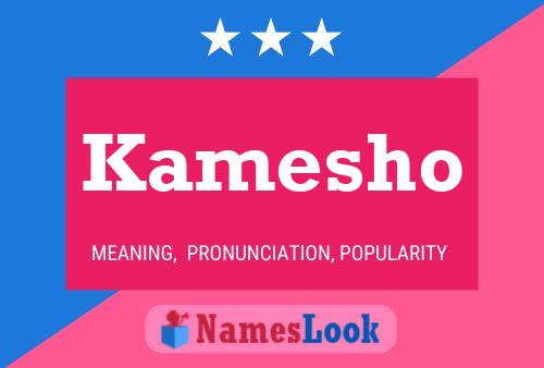 Kamesho Name Poster