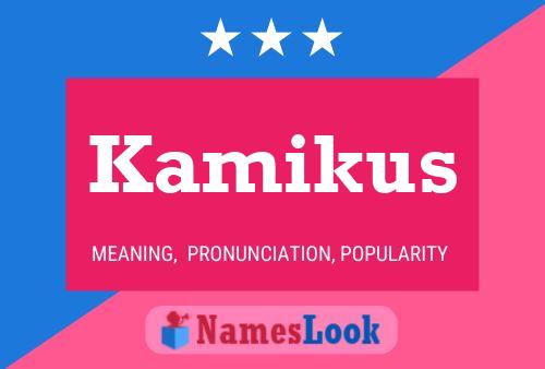 Kamikus Name Poster