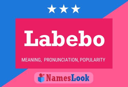 Labebo Name Poster