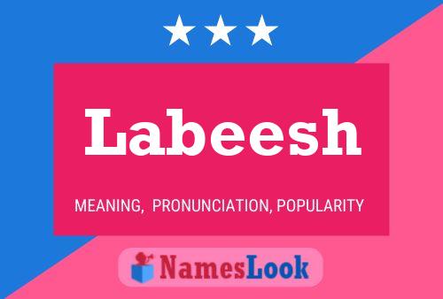 Labeesh Name Poster