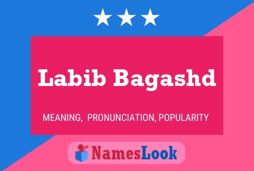 Labib Bagashd Name Poster