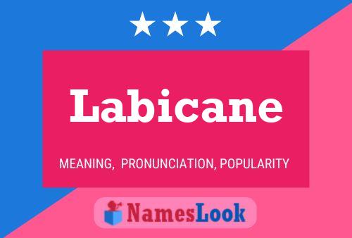 Labicane Name Poster