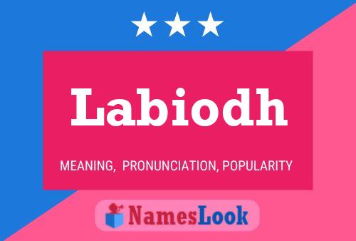 Labiodh Name Poster