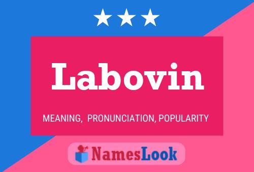 Labovin Name Poster