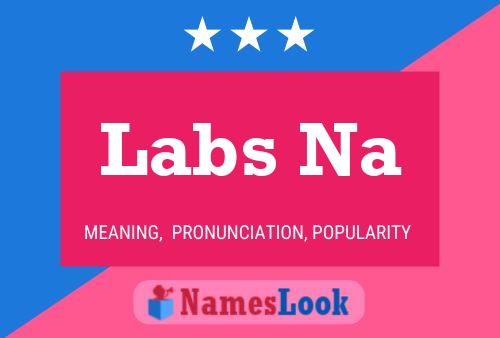 Labs Na Name Poster