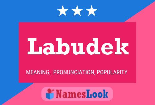 Labudek Name Poster