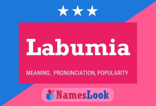 Labumia Name Poster