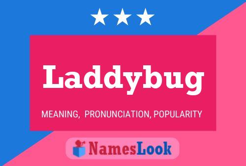 Laddybug Name Poster