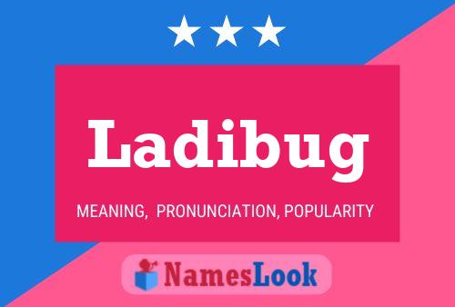 Ladibug Name Poster