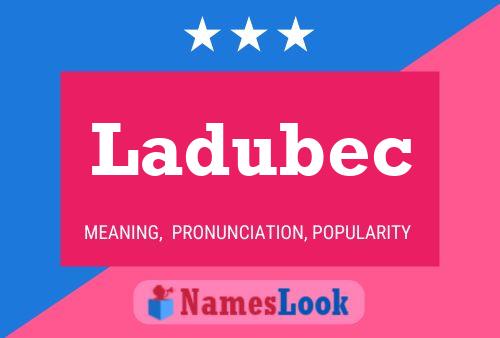 Ladubec Name Poster