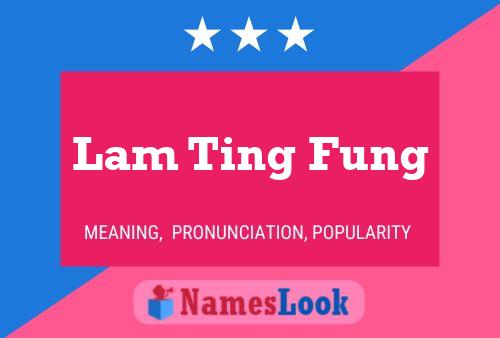 Lam Ting Fung Name Poster