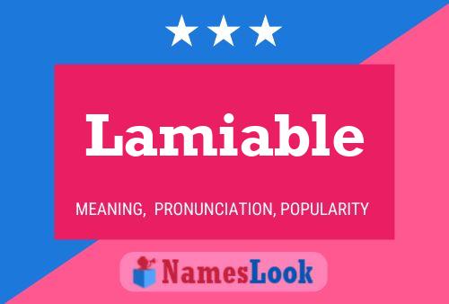 Lamiable Name Poster